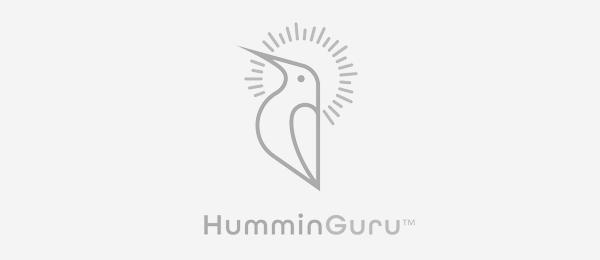 HumminGuru Advanced Ultrasonic Vinyl Record Cleaner